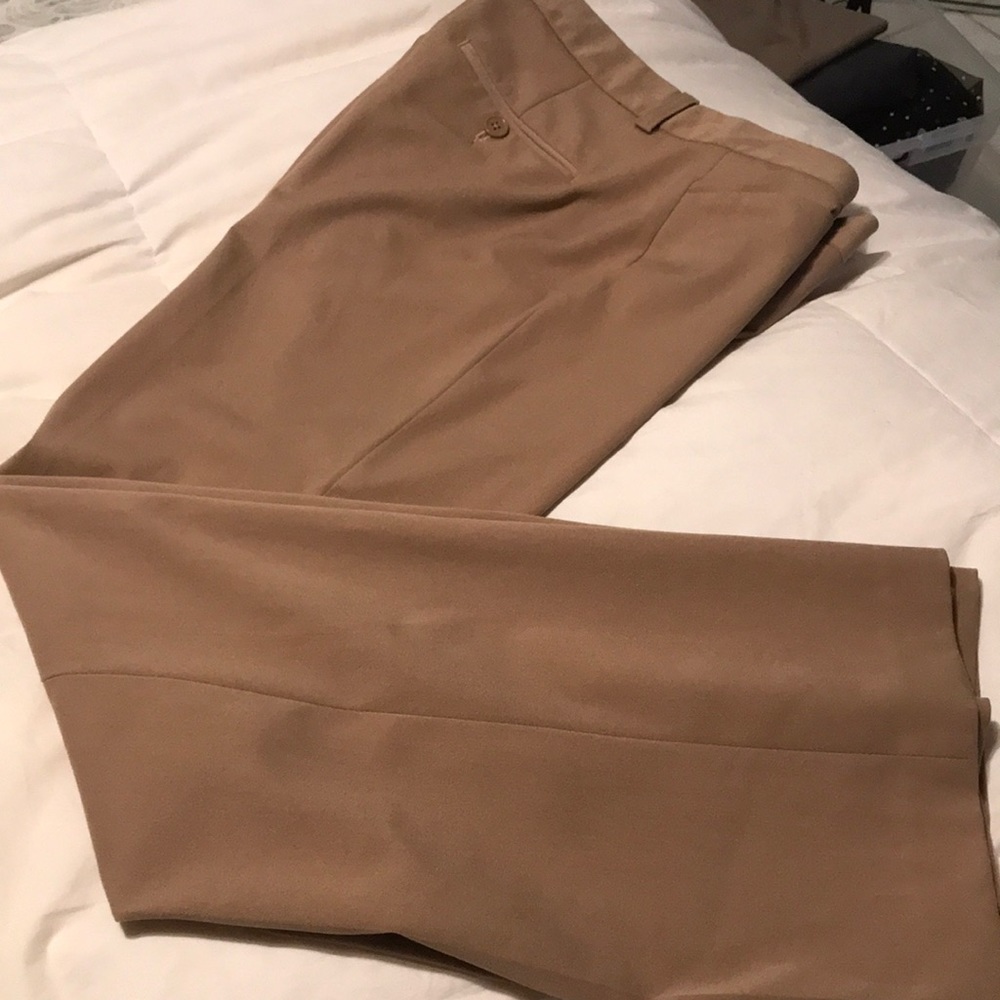 Express Women's Boot Cut & Flare Pants in Tan
